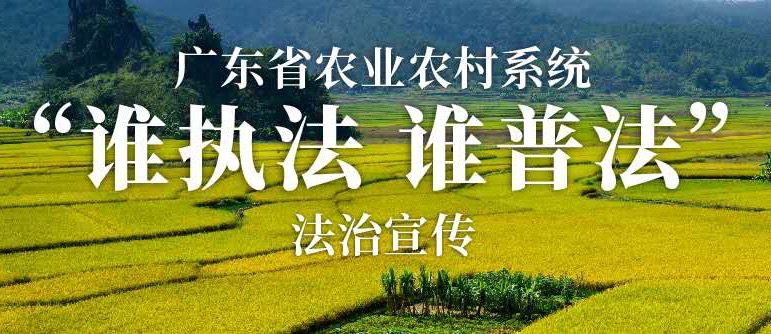 广东户外直播
系统“谁执法 谁普法”法治宣传