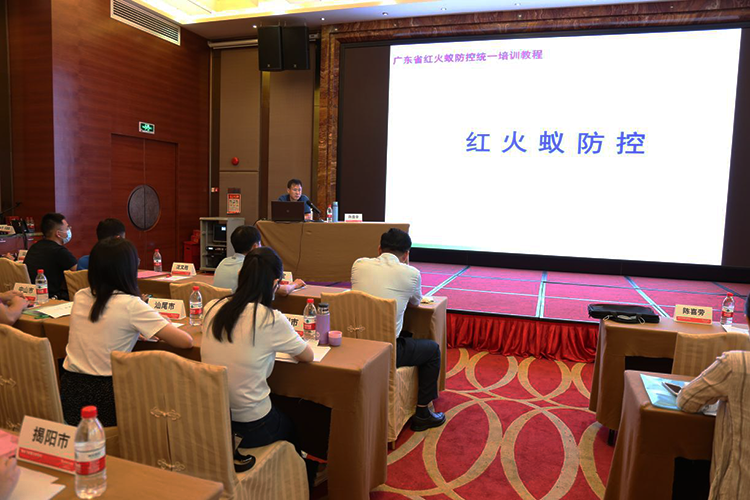 红火蚁2.png