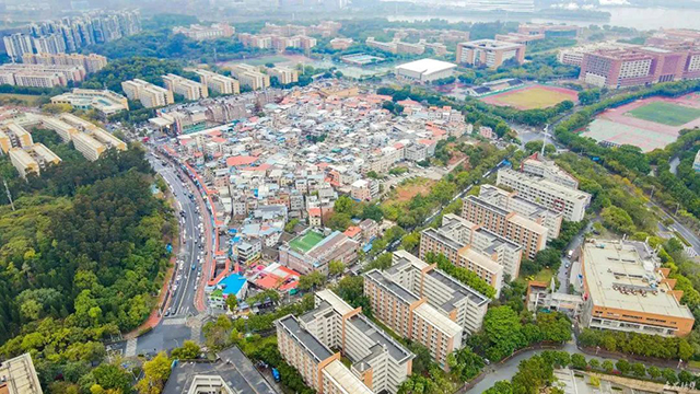 贝岗村是广州大学城保留村中乡村振兴的典型代表.jpg