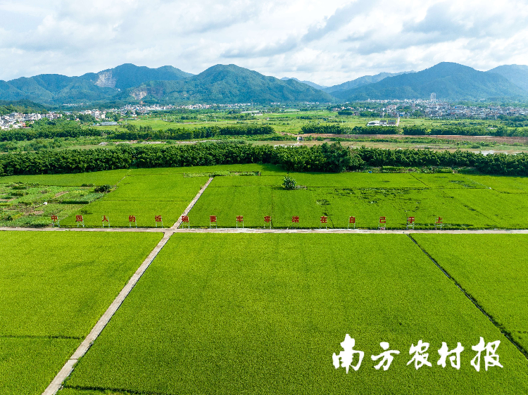 自动转存图片