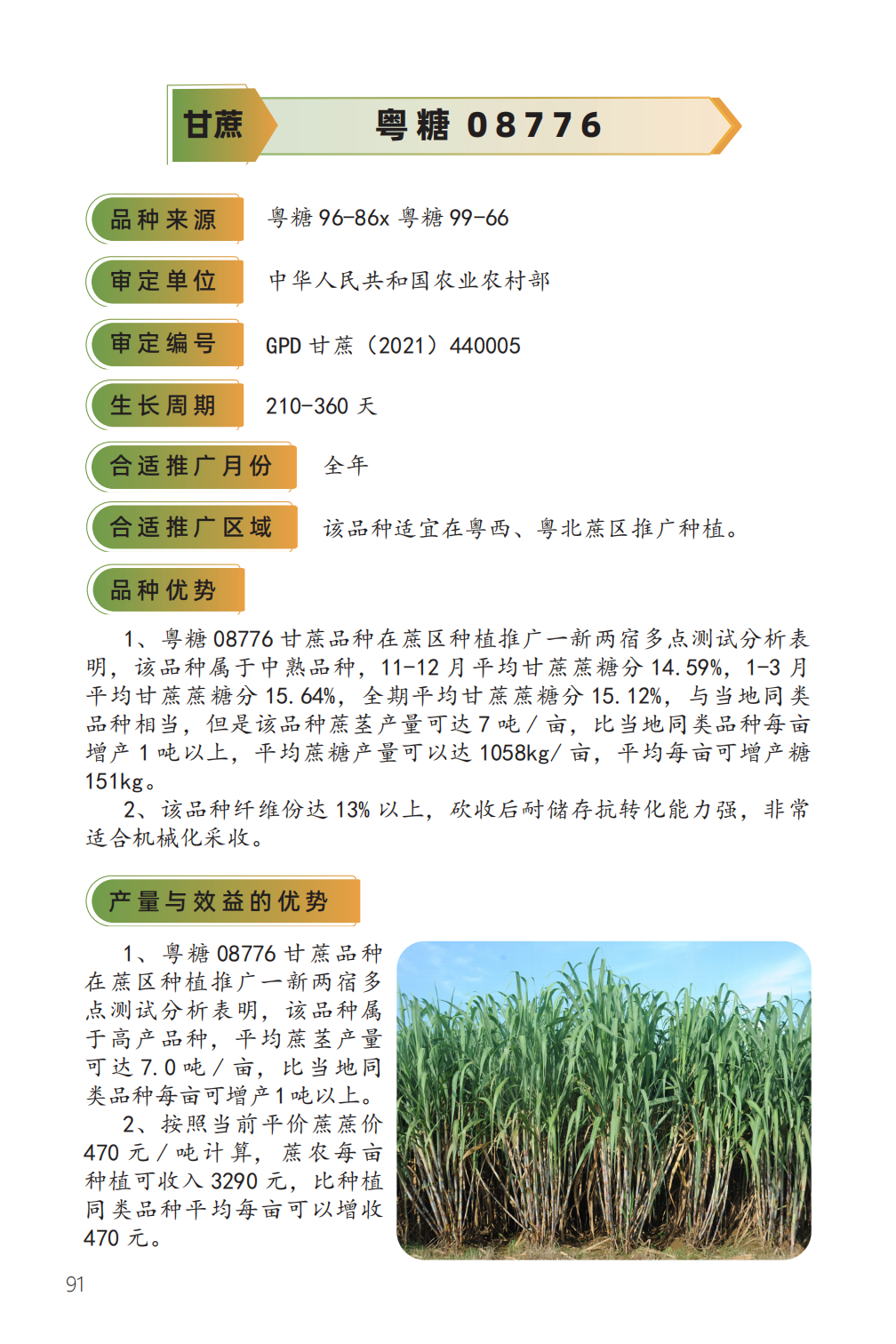 粤糖 08776-1.png