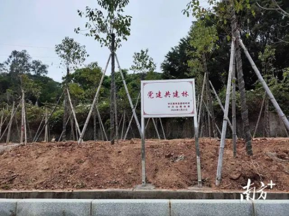 头条新闻图片