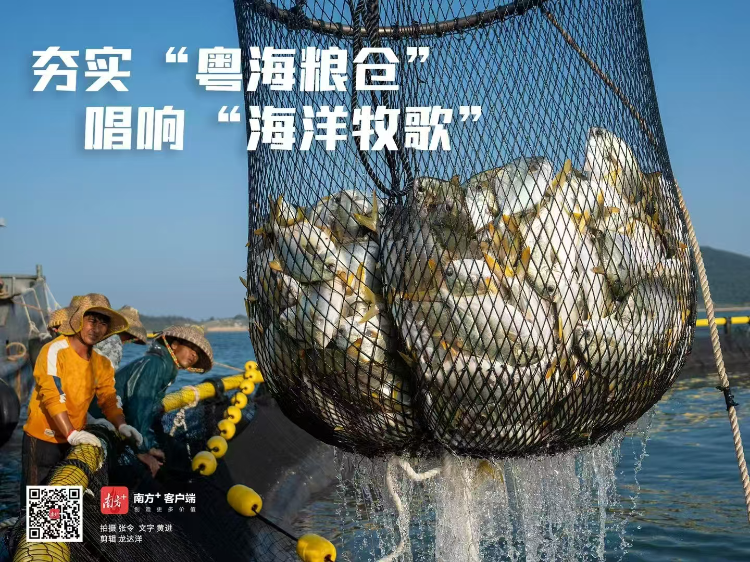 微信图片_20241130120145.jpg