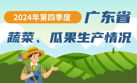 2024年第四季度广东省蔬菜、瓜果生产情况