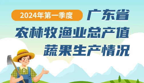 2024年第一季度广东省农林牧渔业总产值蔬果生产情况